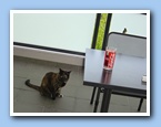 Klicken zum vergr�ssern